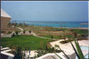 overview part of a residence garden, Jeddah, Saudi Arabia